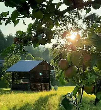 Lägenhet Haus Elvira *