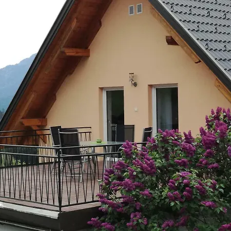 Haus Elvira *