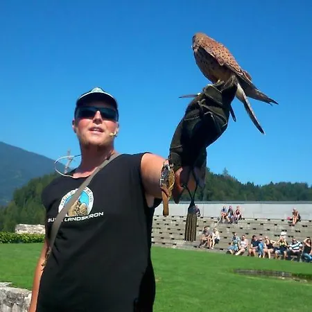 Apartment Haus Elvira Sankt Stefan an der Gail