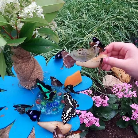 דירה Haus Elvira סנט סטפן אן דר גאיל