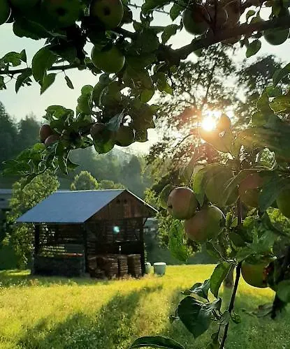 شقة Haus Elvira *