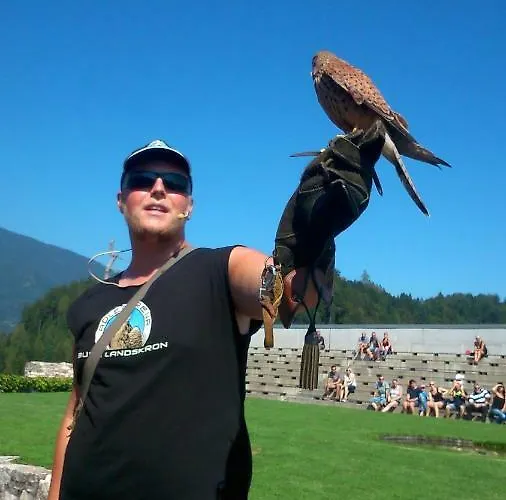 公寓 Haus Elvira 圣斯蒂凡安德