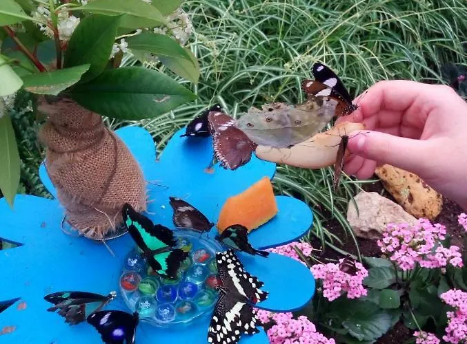 Apartment Haus Elvira Sankt Stefan an der Gail